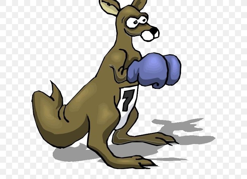 T-shirt Boxing Kangaroo Boxing Glove, PNG, 612x594px, Tshirt, Baseball Cap, Boxing, Boxing Glove, Boxing Kangaroo Download Free