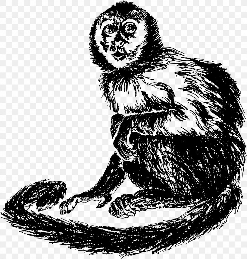 Cat South America Monkey Clip Art, PNG, 2292x2400px, Cat, Americas, Beak, Bird, Black And White Download Free