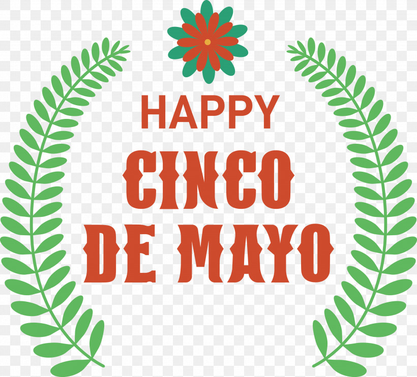 Cinco De Mayo Fifth Of May Mexico, PNG, 3000x2717px, Cinco De Mayo, Biology, Conifers, Fifth Of May, Geometry Download Free