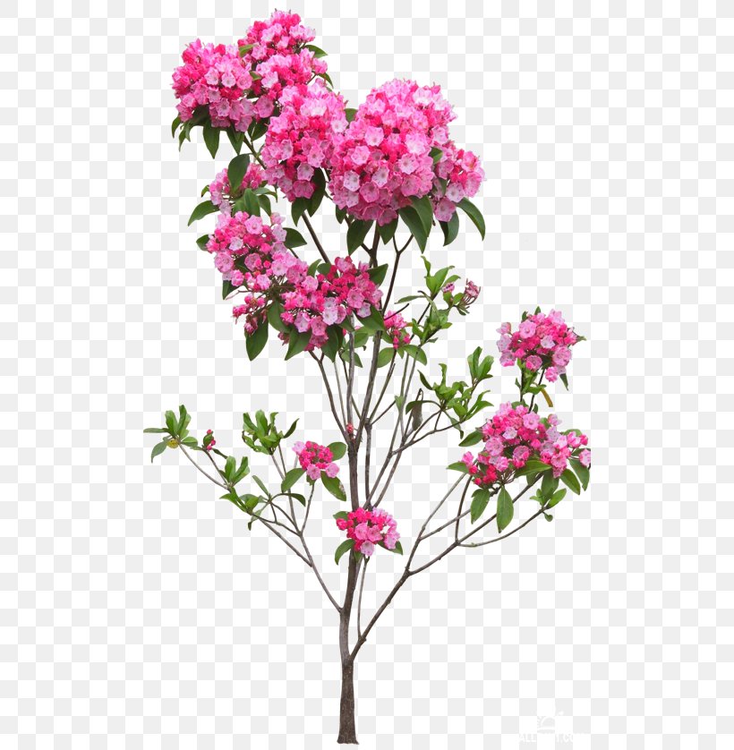 Flowerpot Tree, PNG, 500x838px, Flower, Blossom, Branch, Cut Flowers, Flower Garden Download Free