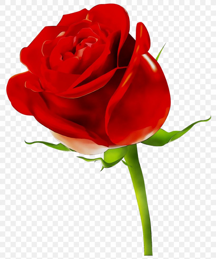 Clip Art Image Rose Desktop Wallpaper, PNG, 1570x1887px, Rose, Artificial Flower, Botany, Bud, China Rose Download Free