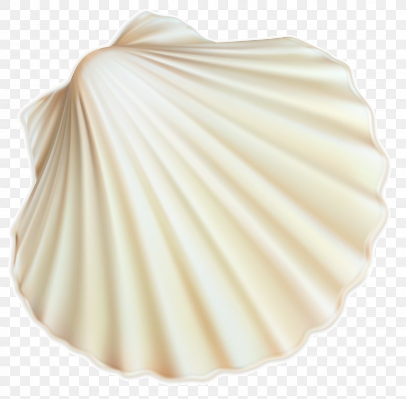 Seashell Clip Art, PNG, 2682x2639px, Cockle, Beige, Kilobyte, Megabyte, Mollusc Shell Download Free