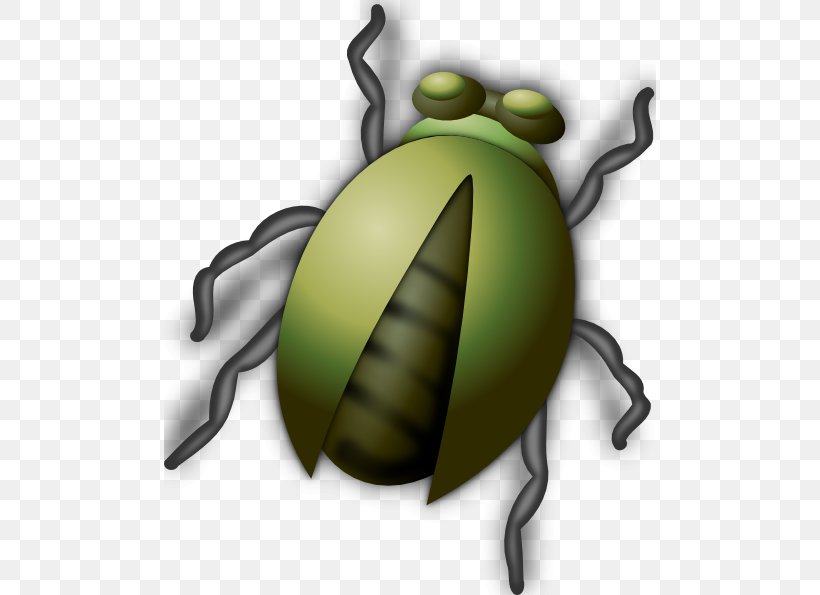 Beetle Free Content Clip Art, PNG, 492x595px, Beetle, Arthropod, Bee, Blog, Firefly Download Free