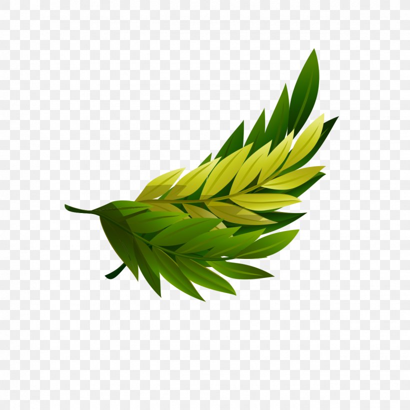 Leaf Green Gratis Euclidean Vector, PNG, 1276x1276px, Leaf, Data Compression, Grass, Grass Family, Gratis Download Free