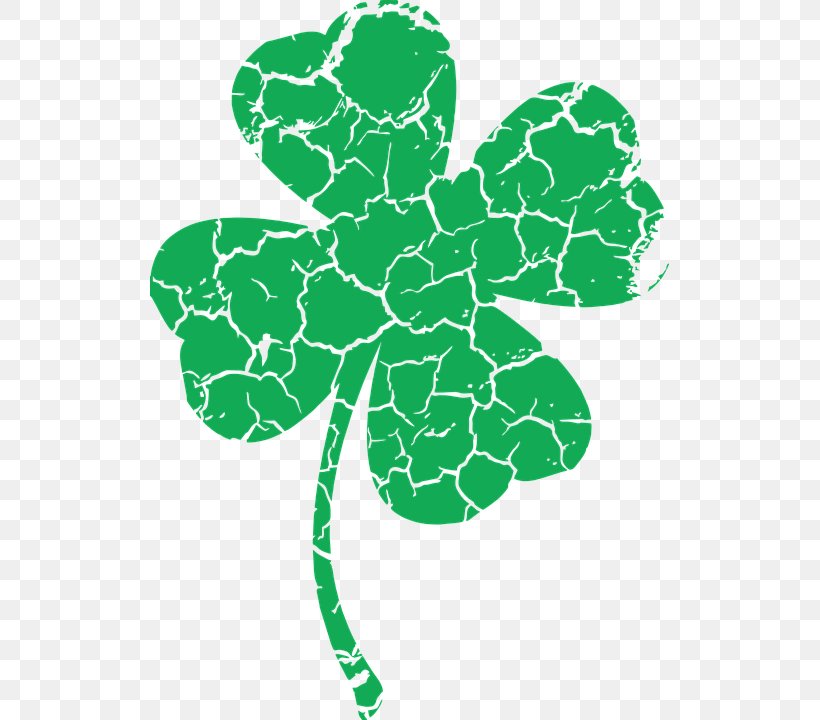 Shamrock Clip Art Saint Patrick's Day Four-leaf Clover Portable Network Graphics, PNG, 519x720px, Shamrock, Clover, Fourleaf Clover, Green, Herbaceous Plant Download Free