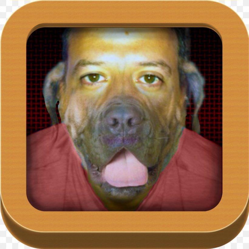 Dog Breed Snout, PNG, 1024x1024px, Dog Breed, Breed, Carnivoran, Dog, Dog Like Mammal Download Free