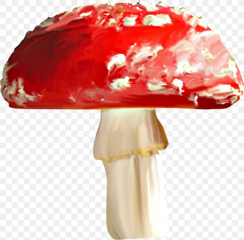 Drawing Fungus Mushroom Entoloma Hochstetteri Digital Image, PNG, 1078x1063px, Drawing, Amanita, Animation, Cartoon, Digital Image Download Free