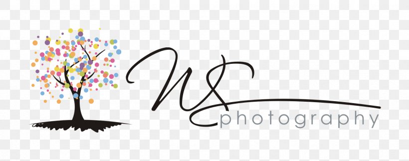 Logo Photography Graphic Design, PNG, 1714x676px, Logo, Art, Brand, Calligraphy, Corporate Identity Download Free