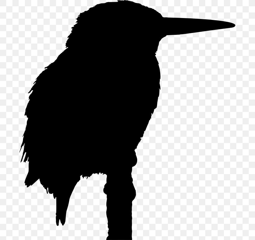 Big Bird Belted Kingfisher Clip Art, PNG, 695x772px, Bird, Azure Kingfisher, Beak, Belted Kingfisher, Big Bird Download Free