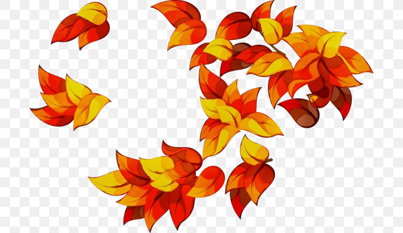 Cut Flowers Leaf Petal Flower Plants, PNG, 700x473px, Watercolor, Biology, Cut Flowers, Flower, Leaf Download Free