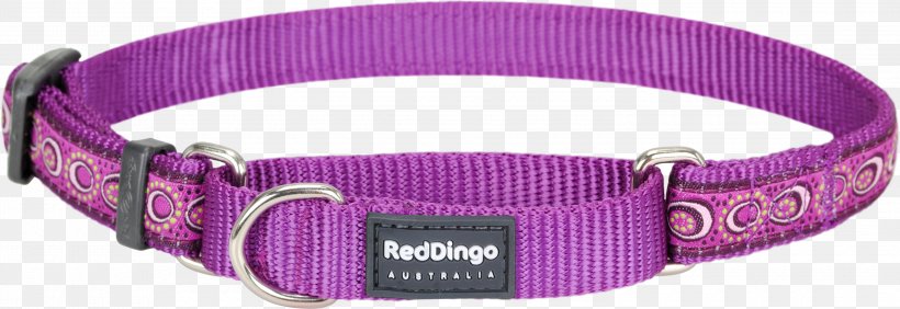Dog Collar Martingale Dingo, PNG, 3000x1032px, Dog Collar, Collar, Dingo, Dog, Magenta Download Free