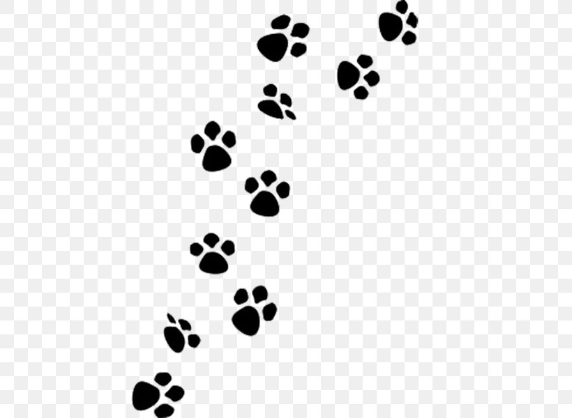 Dog Paw Clip Art, PNG, 600x600px, Dog, Animal Track, Black, Black And White, Can Stock Photo Download Free