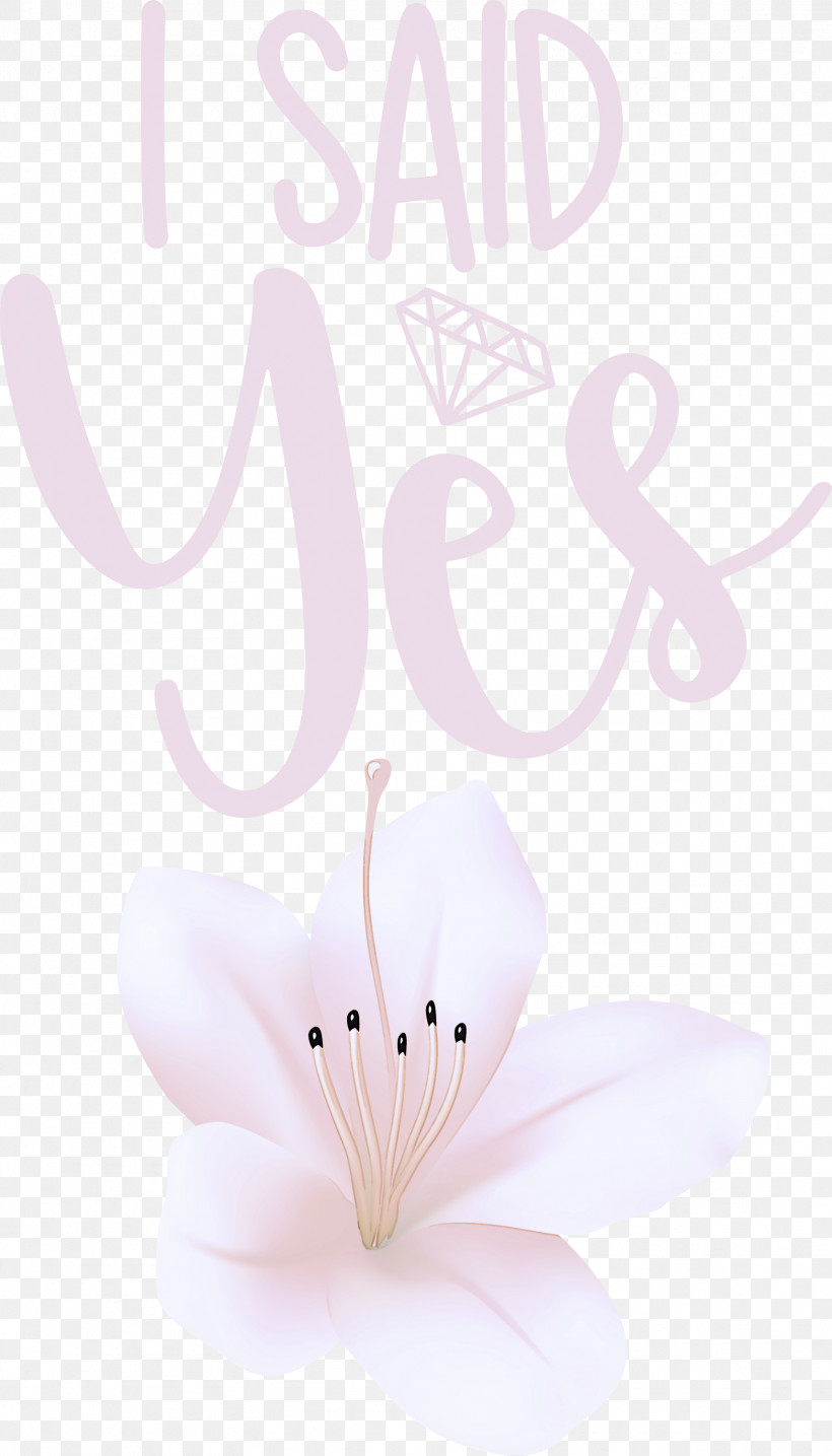 I Said Yes She Said Yes Wedding, PNG, 1714x3000px, I Said Yes, Floral Design, Meter, Petal, Pollinator Download Free