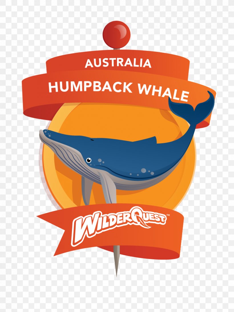 Logo Humpback Whale Cetacea, PNG, 836x1113px, Logo, Brand, Cetacea, Fast Food, Food Download Free