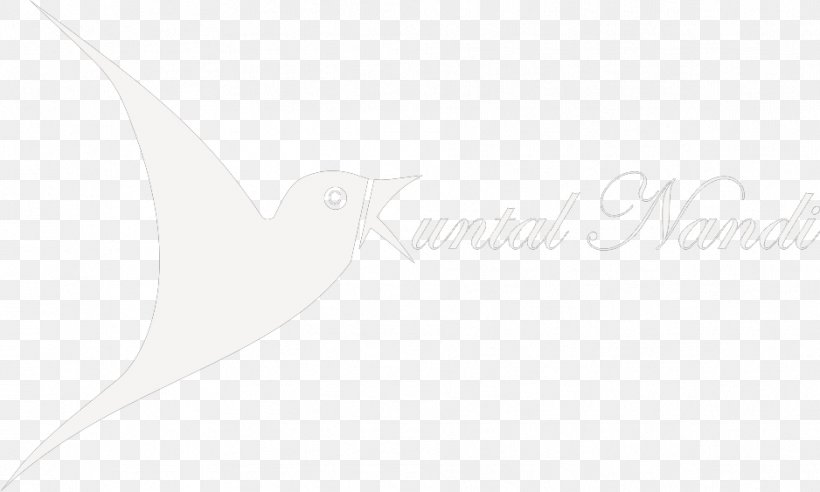 Logo White Desktop Wallpaper Computer Font, PNG, 938x563px, Logo, Beak, Black And White, Computer, Text Download Free