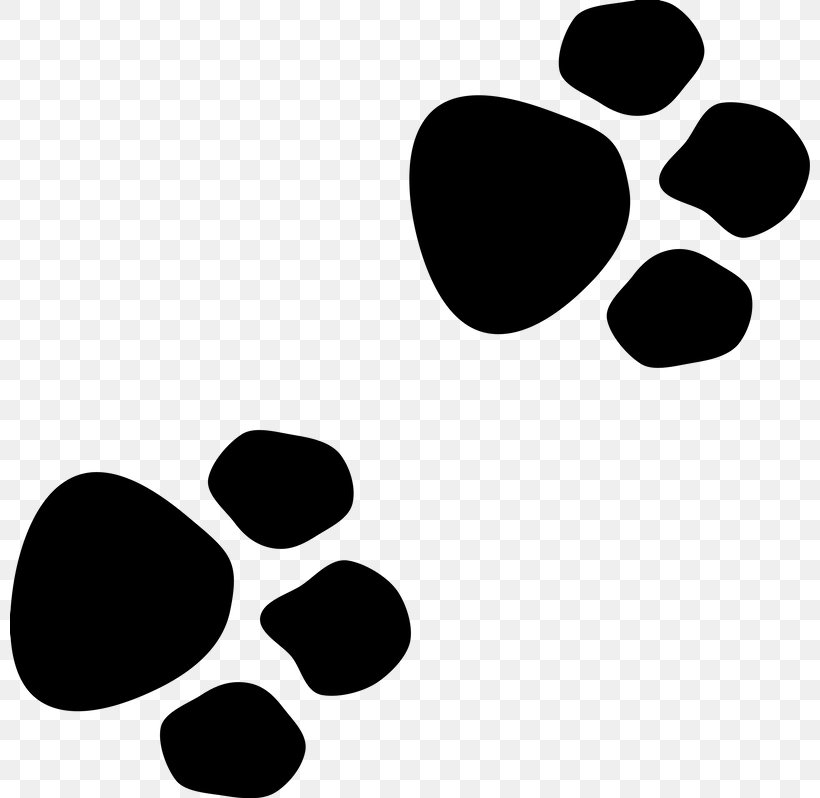 Paw Cat Pet Boxer Image, PNG, 800x798px, Paw, Animal, Animal Track, Blackandwhite, Boxer Download Free