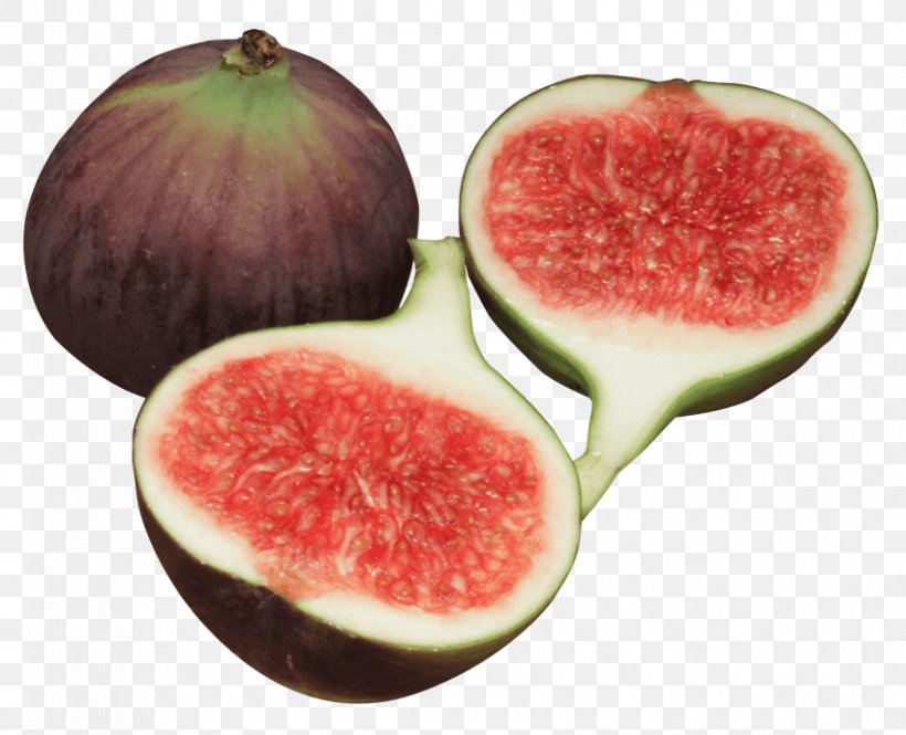 Common Fig Image Clip Art Download, PNG, 850x690px, Common Fig, Banyan, Chart, Citrullus, Cucumber Gourd And Melon Family Download Free