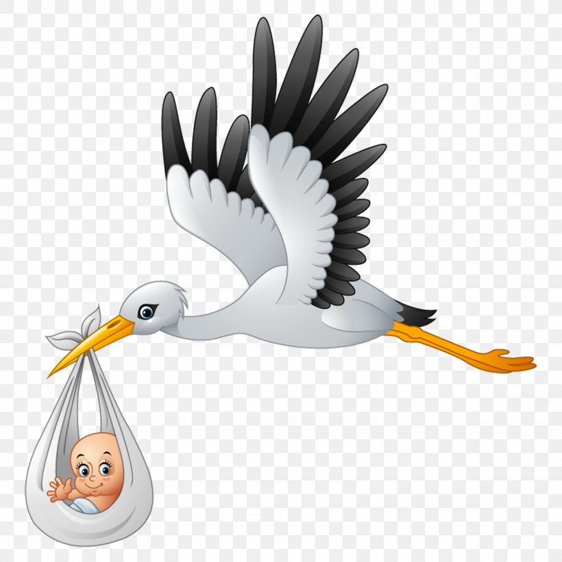 Royalty-free Stork Clip Art, PNG, 1600x1600px, Royaltyfree, Beak, Bird, Cartoon, Ciconiiformes Download Free