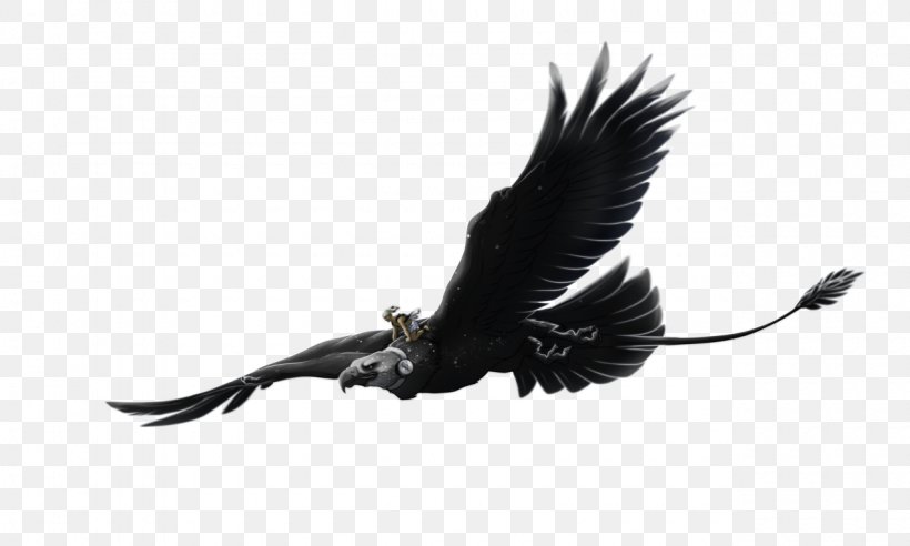 Beak Feather Eagle White Condor, PNG, 1280x768px, Beak, Bird, Bird Of Prey, Black And White, Condor Download Free