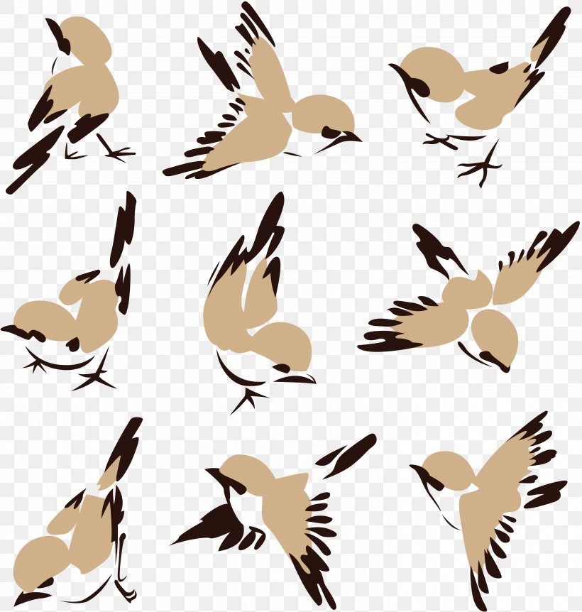 Bird Sparrow Clip Art, PNG, 5911x6217px, Bird, Animal Migration, Beak, Bird Migration, Drawing Download Free