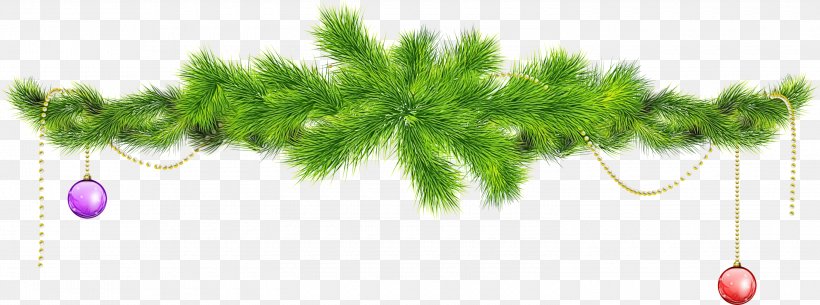 Christmas Tree White, PNG, 3000x1117px, Body Jewellery, American Larch, Branching, Christmas Day, Christmas Ornament Download Free