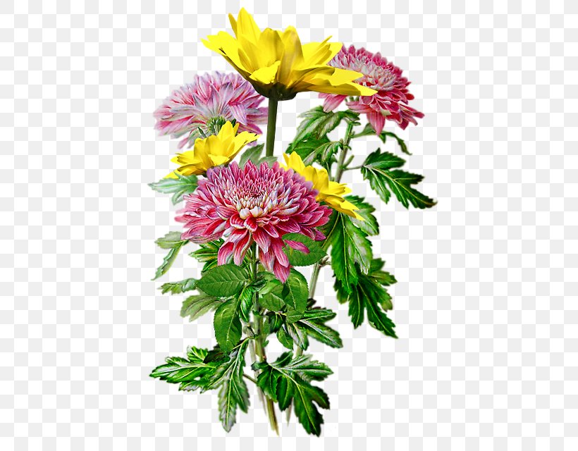 Chrysanthemum Floral Design Watercolor Painting Drawing, PNG, 453x640px, Chrysanthemum, Annual Plant, Art, Aster, Blanket Flowers Download Free