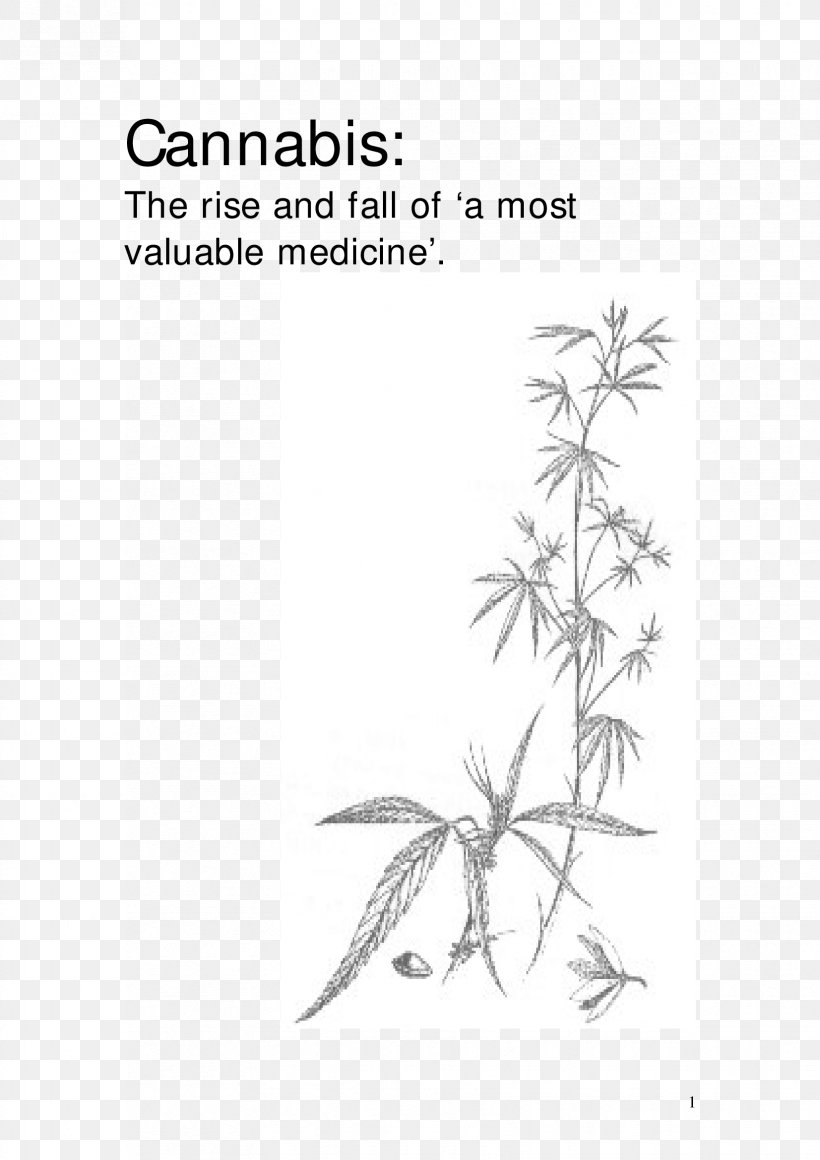 Leaf Line Art Plant Stem Angle, PNG, 1653x2339px, Leaf, Area, Black And White, Flora, Line Art Download Free