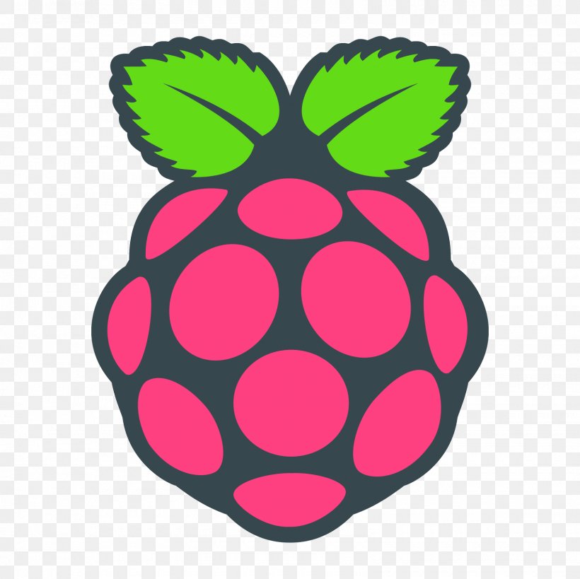 Raspberry Pi Foundation Computer Cases & Housings Raspbian, PNG, 1600x1600px, Raspberry Pi, Computer, Computer Cases Housings, Computer Hardware, Computer Software Download Free