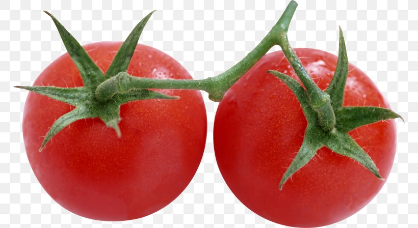 Tomato Juice Cherry Tomato Marinara Sauce Tomato Sauce Vegetable, PNG, 768x448px, Tomato Juice, Blue Tomato, Bush Tomato, Cherry, Cherry Tomato Download Free