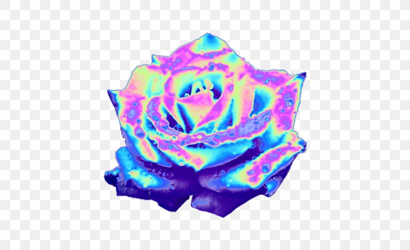 Rainbow Rose Garden Roses Blue Rose Iridescence Tumblr, PNG, 500x500px, Rainbow Rose, Aqua, Blue, Blue Rose, Cobalt Blue Download Free