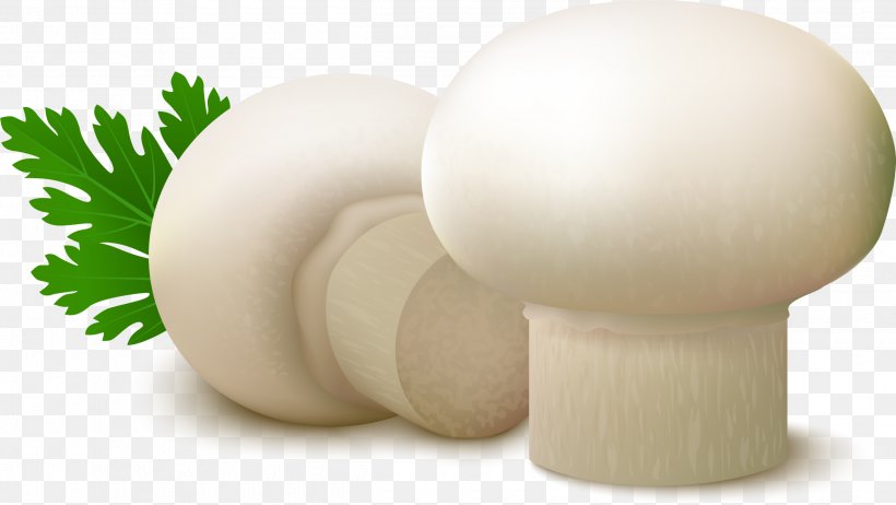 Common Mushroom Food Fungus, PNG, 2500x1409px, Mushroom, Agaricaceae, Agaricomycetes, Agaricus, Calocybe Gambosa Download Free