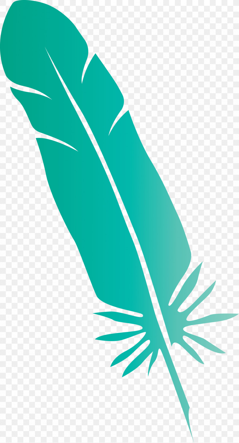 Feather, PNG, 1617x3000px, Feather, Biology, Green, Leaf, Line Download Free