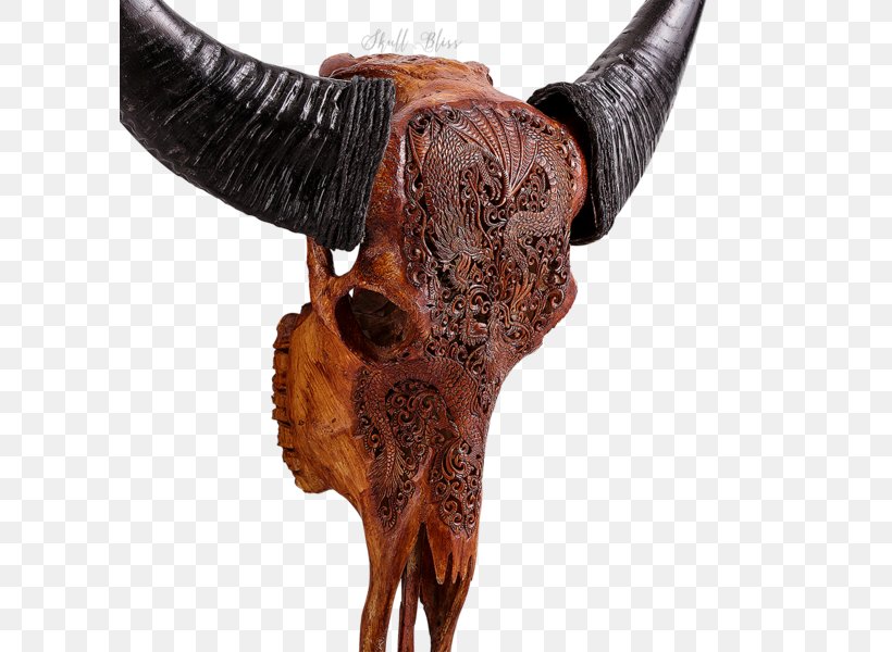 Bison Antiquus Horn Skull Bone Cattle, PNG, 600x600px, Bison Antiquus, American Bison, Antique, Bison, Bone Download Free