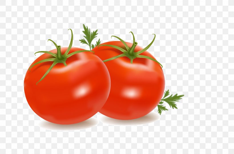Cherry Tomato Clip Art, PNG, 1425x936px, Cherry Tomato, Bush Tomato, Diet Food, Food, Free Content Download Free