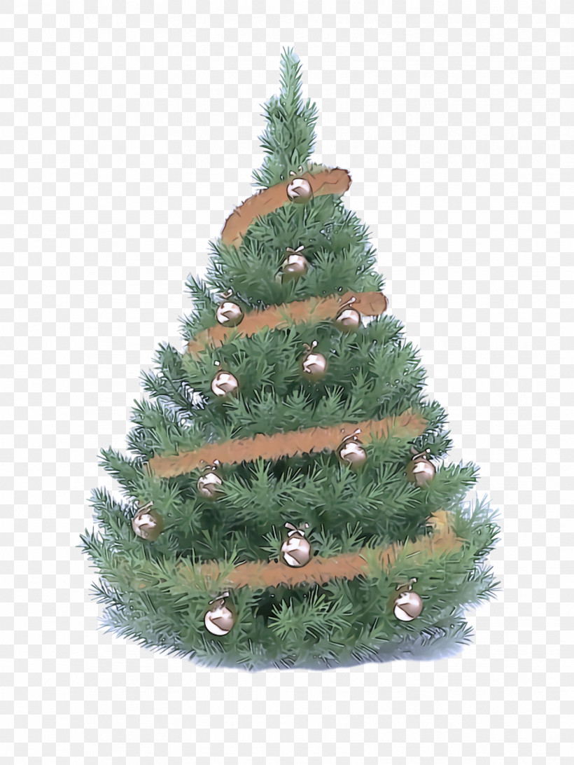 Christmas Tree, PNG, 1732x2308px, Christmas Tree, Balsam Fir, Canadian Fir, Christmas Decoration, Colorado Spruce Download Free