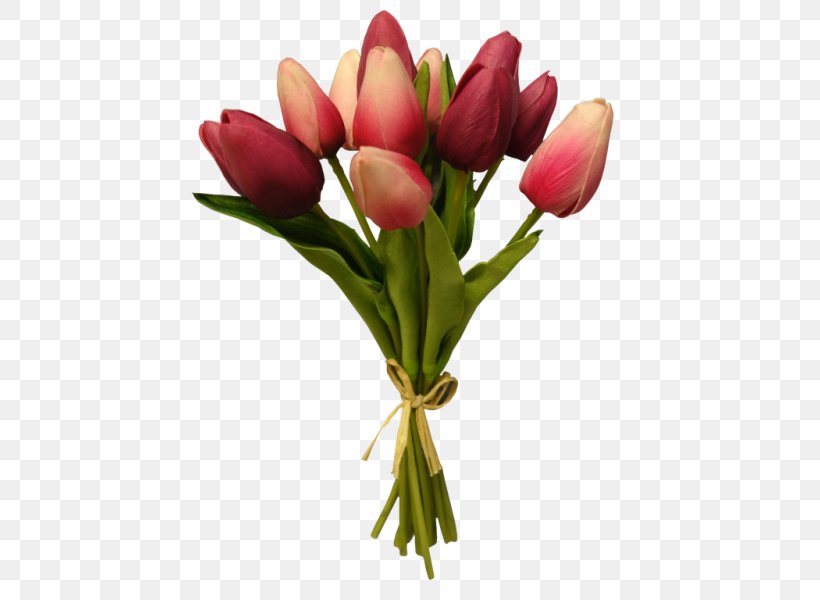 Cut Flowers Tulip Flower Bouquet Floristry, PNG, 800x600px, Flower, Bud, Cut Flowers, Floral Design, Floristry Download Free