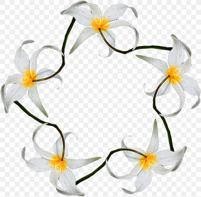 Floral Design Desktop Wallpaper Flower Clip Art, PNG, 1162x1137px, Floral Design, Branch, Cut Flowers, Flora, Floristry Download Free