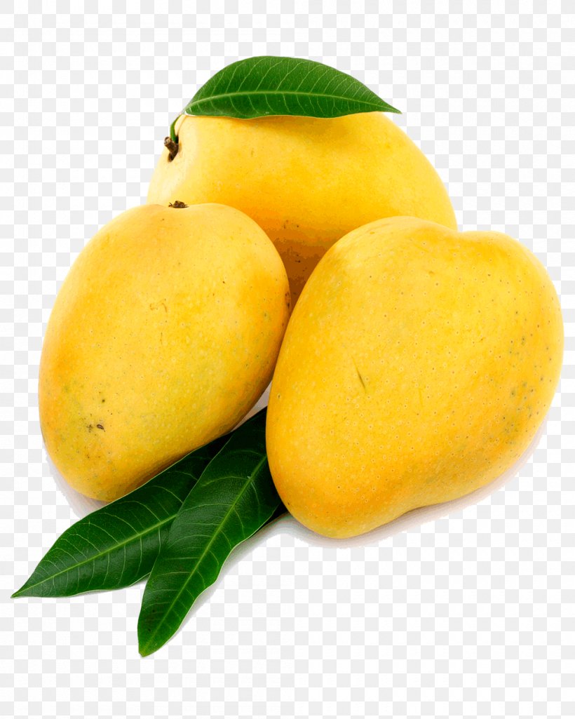 India Juice Nectar Mango Alphonso, PNG, 1000x1250px, India, Alphonso, Benishan, Citron, Citrus Download Free
