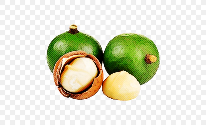 Macadamia Nut Food Plant Purple Mangosteen, PNG, 500x500px, Macadamia, Food, Fruit, Ingredient, Nut Download Free