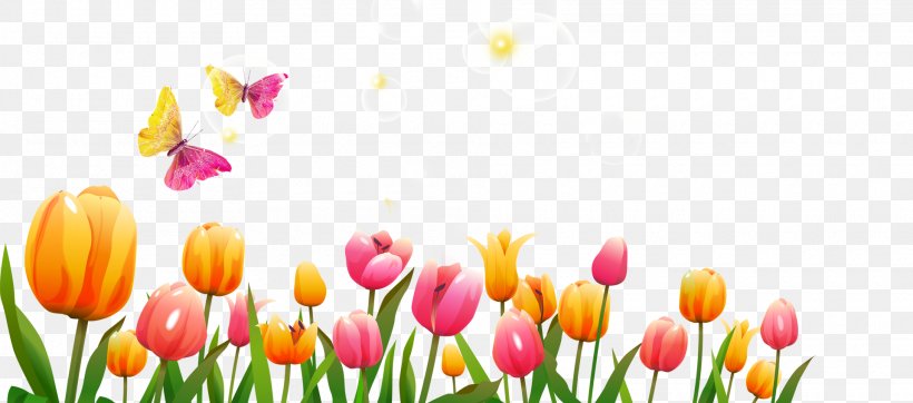 Tulip Flower Icon, PNG, 1920x848px, Tulip, Cdr, Cut Flowers, Floristry, Flower Download Free