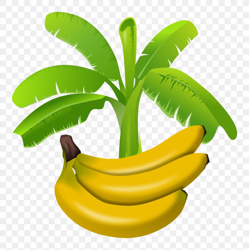 Banana Pudding Fruit Clip Art, PNG, 2384x2400px, Banana Pudding, Banana, Banana Family, Banana Leaf, Cooking Plantain Download Free