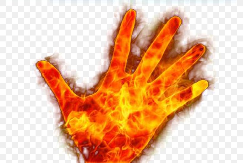 Flame Combustion Hand Euclidean Vector, PNG, 777x551px, Flame, Combustion, Designer, Dlan, Finger Download Free