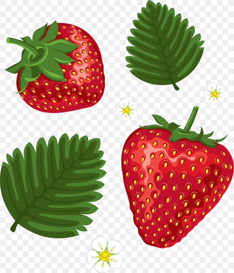 Strawberry Cake Shortcake Clip Art, PNG, 2977x3473px, Juice, Food, Fragaria, Fruit, Illustration Download Free