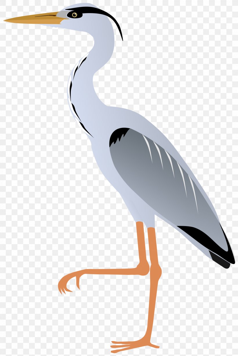 Crane Bird Grey Heron Great Egret Great Blue Heron, PNG, 2000x2990px, Crane, Ardea, Beak, Bird, Ciconiiformes Download Free