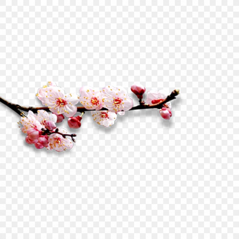 Designer, PNG, 1000x1000px, Designer, Blossom, Branch, Cherry, Cherry Blossom Download Free
