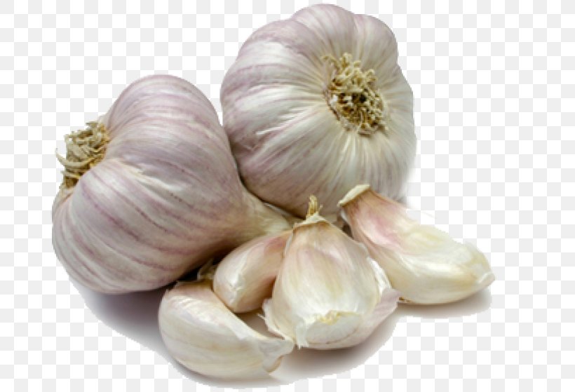 Garlic Scape Bulb Clove Food, PNG, 700x559px, Garlic, Allicin, Bulb, Clove, Elephant Garlic Download Free