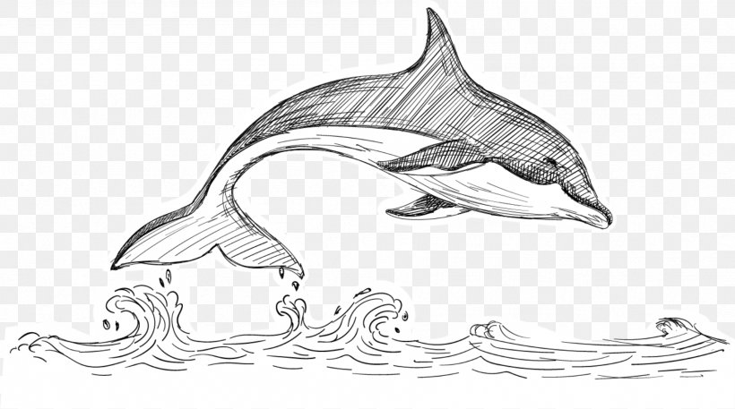 Tucuxi Dolphin Beluga Whale, PNG, 1793x1000px, Tucuxi, Aquatic Animal, Automotive Design, Beluga Whale, Black And White Download Free