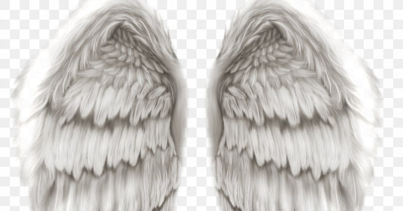 Angel Wing Clip Art, PNG, 1200x630px, Angel, Drawing, Feather, Footwear, Fur Download Free