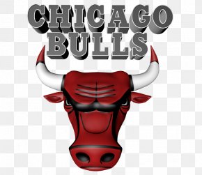 Chicago Bulls Washington Wizards Mascot Basketball Benny The Bull PNG,  Clipart, Art, Artwork, Backboard, Ball, Baseball