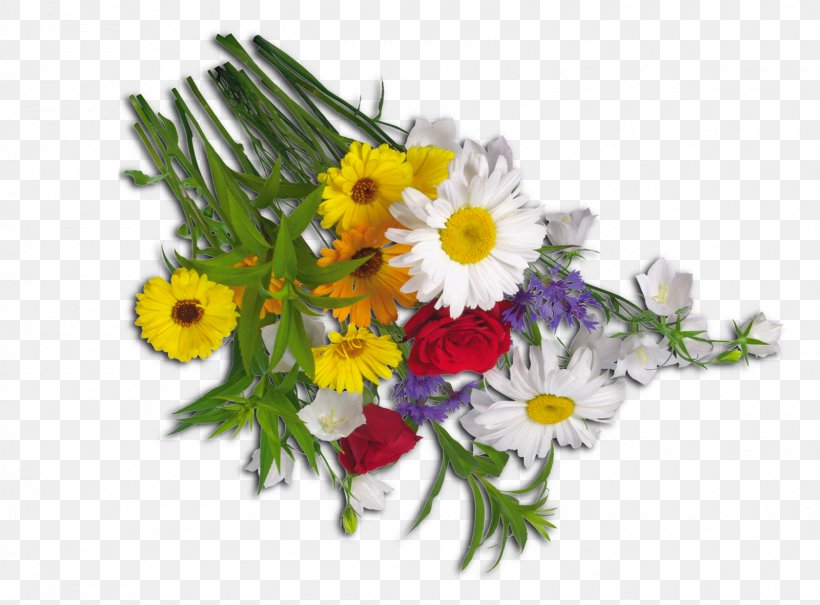 Cut Flowers Floral Design Flower Bouquet Roman Chamomile, PNG, 1600x1182px, Flower, April, Artificial Flower, Artwork, Aster Download Free